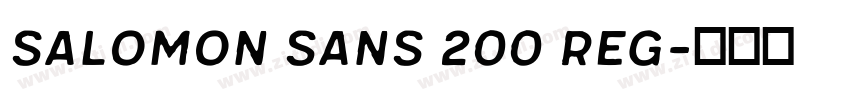 SALOMON Sans 200 Reg字体转换 SALOMON Sans 200 Reg字体转换